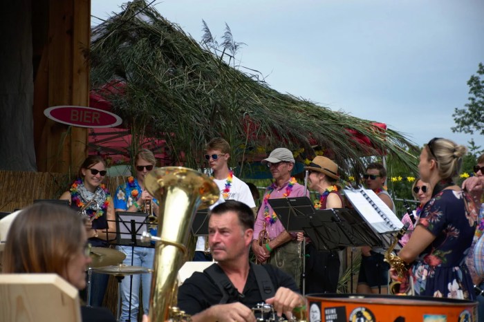 Waikiki Festival