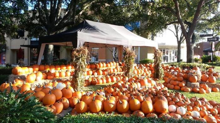 Fall Festivals Tampa