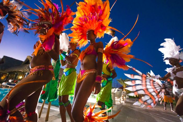 Caribbean Festival Chicago 2024