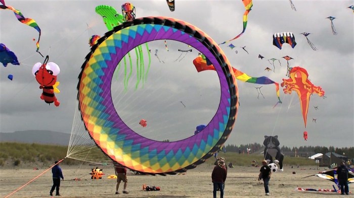 International Kite Festival Long Beach Wa