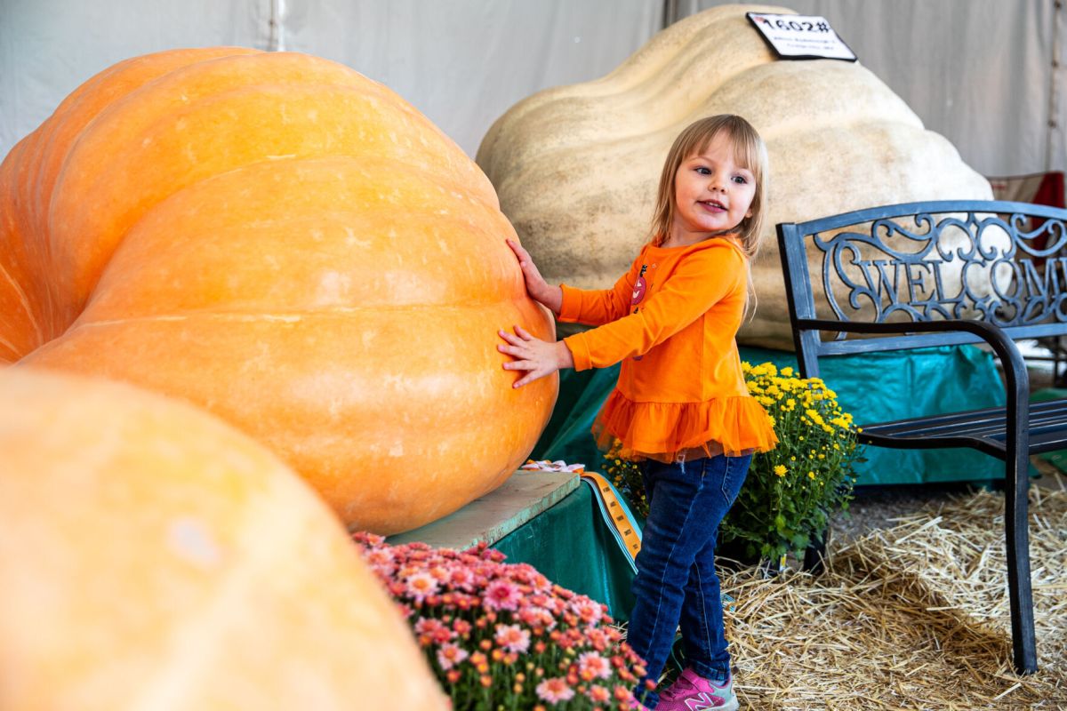 Milton Pumpkin Festival