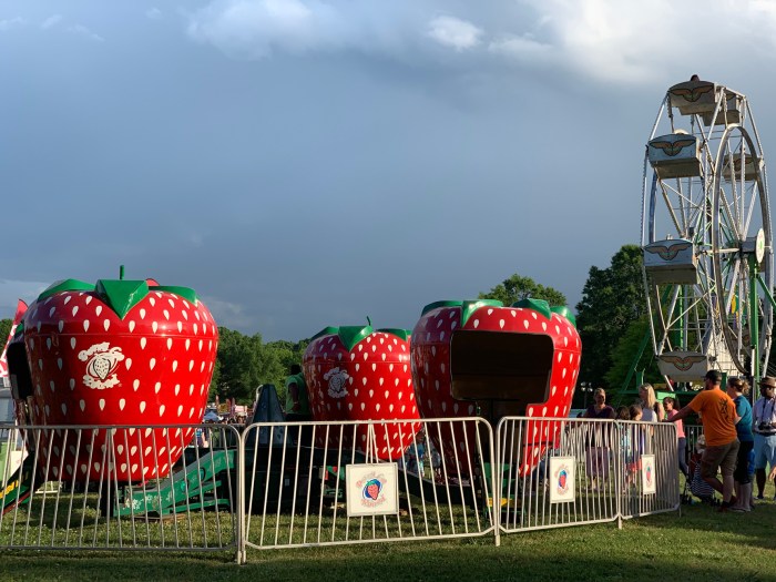 Belleville Strawberry Festival 2024