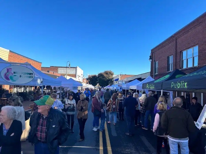 Waynesville apple festival harvest nc valley postcards maggie