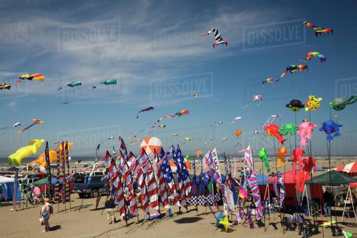 Long Beach International Kite Festival