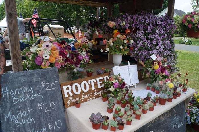 Hadley Asparagus Festival