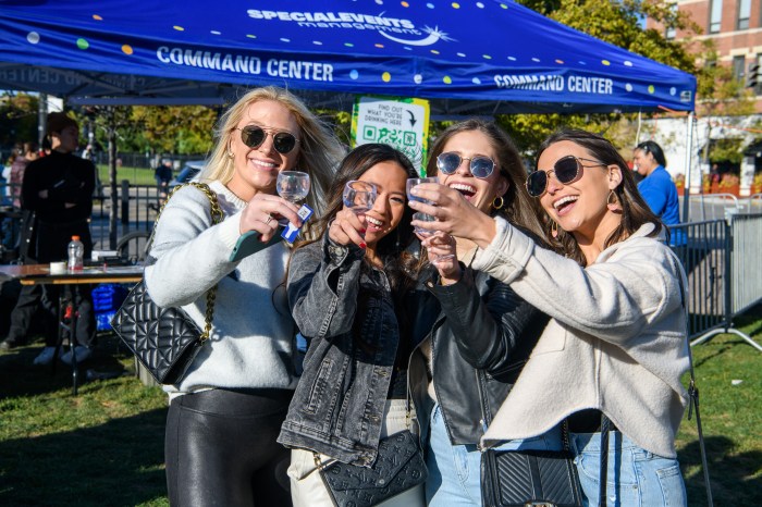 Park lincoln wine fest chicago