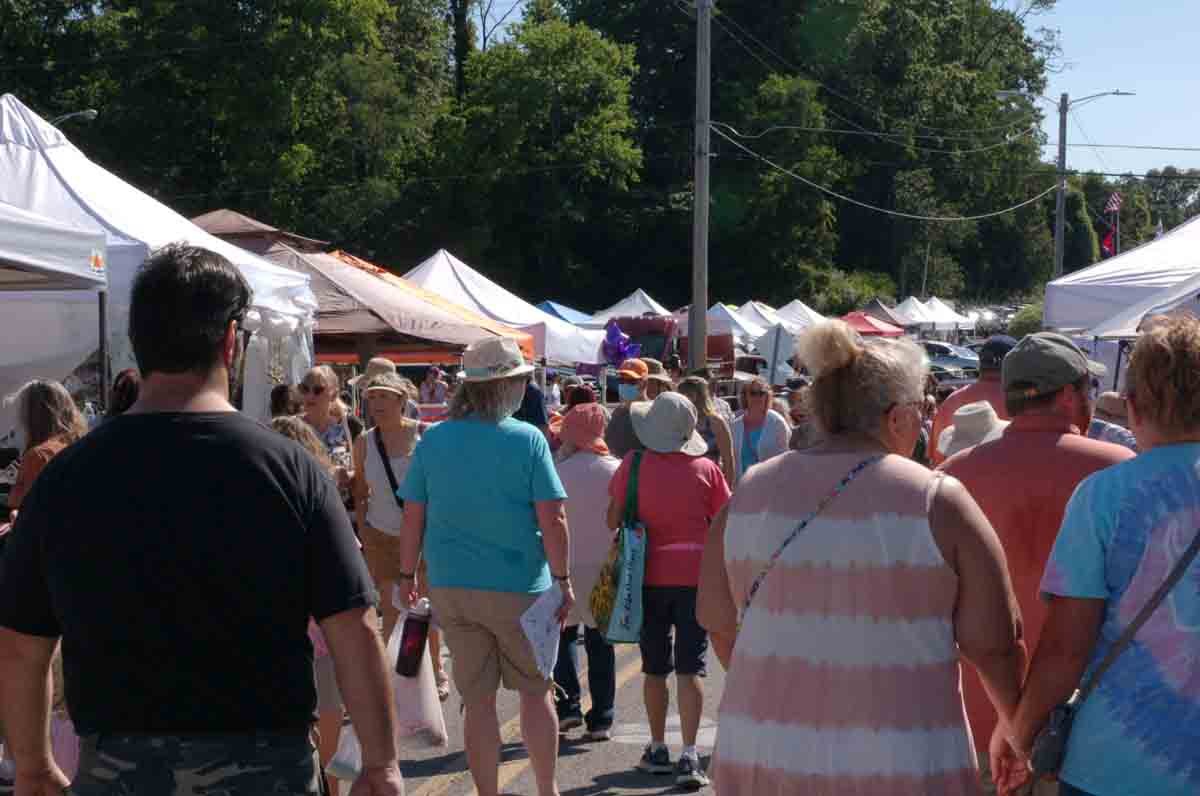 Oak Ridge Lavender Festival