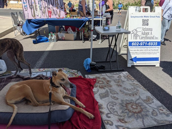 Fountain Hills Art Festival 2024