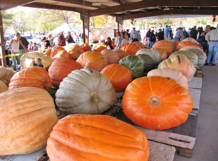 Giant Pumpkin Festival