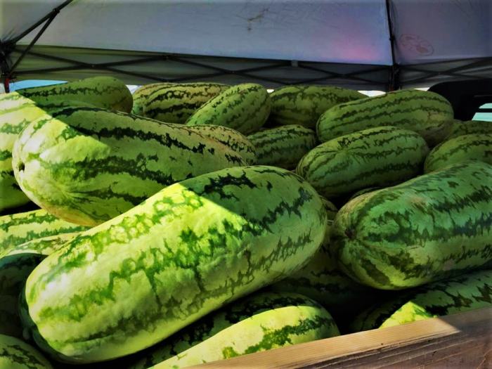 Oklahoma watermelon valliant festival annual july 2011 seed spitting contest am