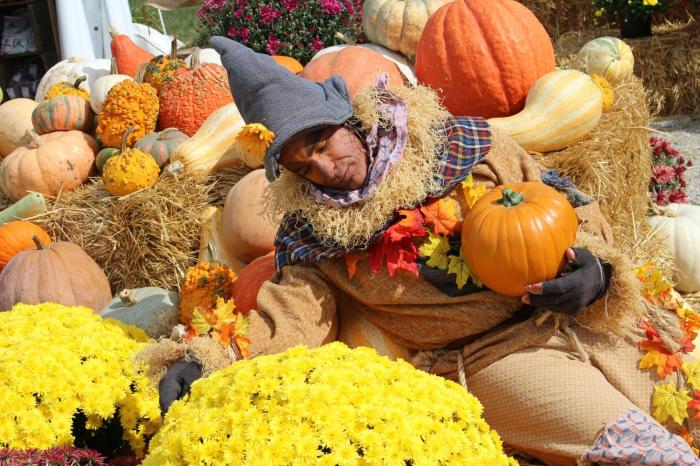 Milton Wv Pumpkin Festival