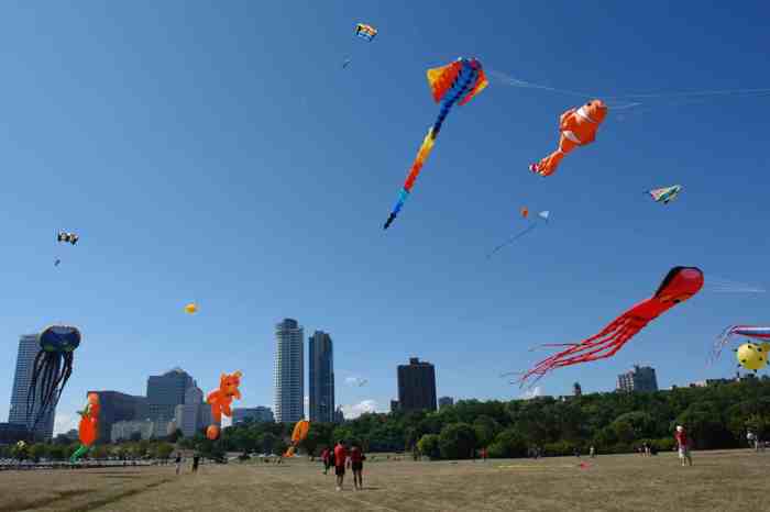 Kite Festival Milwaukee