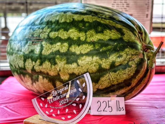 Rush Springs Watermelon Festival 2024