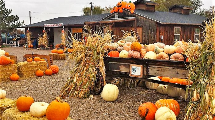 Freedom Farms Fall Festival