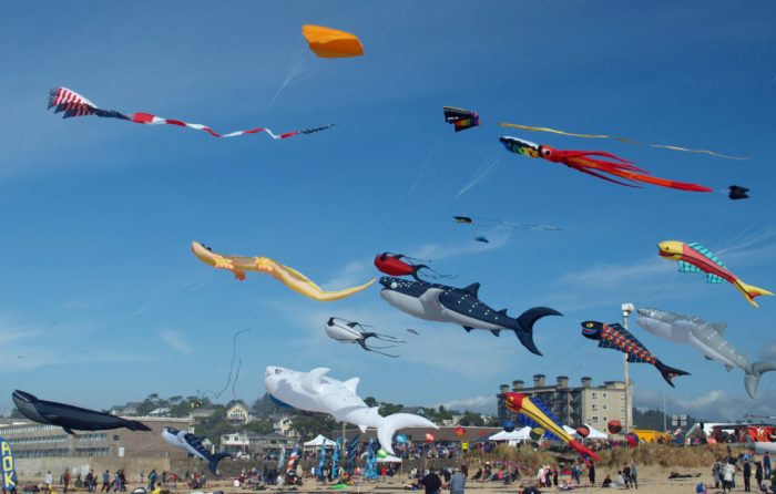 Lincoln City Kite Festival 2024