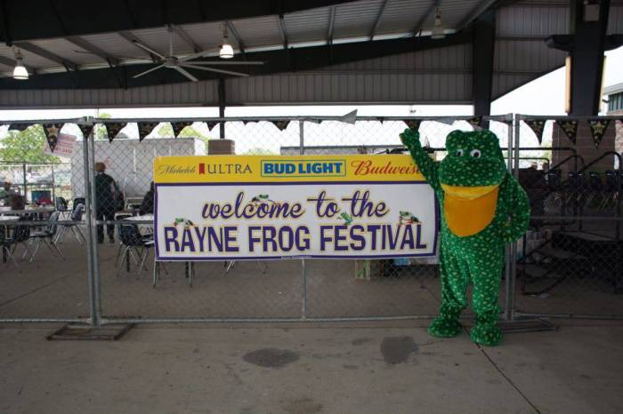 Rayne frog 39th