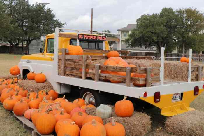 San Antonio Pumpkin Festival At Town Square