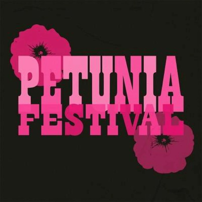 Petunia twitter fest retweet replies likes