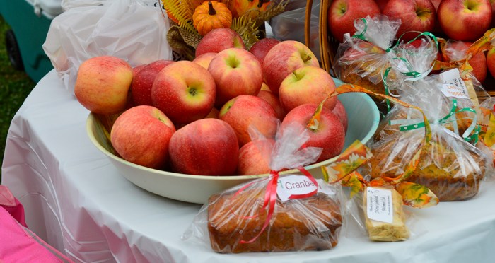 New Cumberland Apple Festival