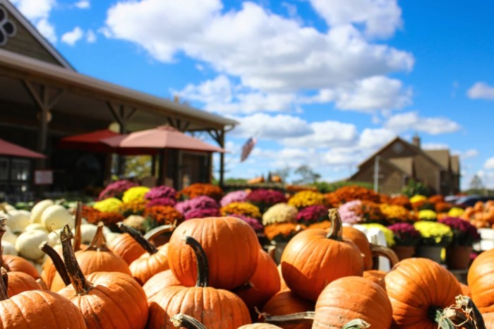 Fall Festivals Today