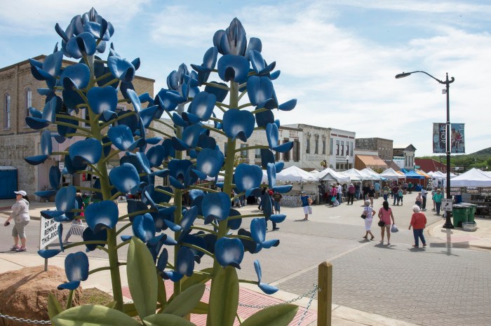 Burnet Bluebonnet Festival