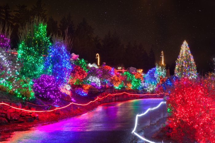 Festive Outdoor Lighting