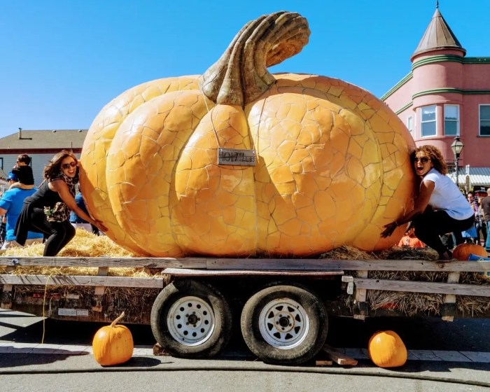 Pumpkin Festival Treasure Chase