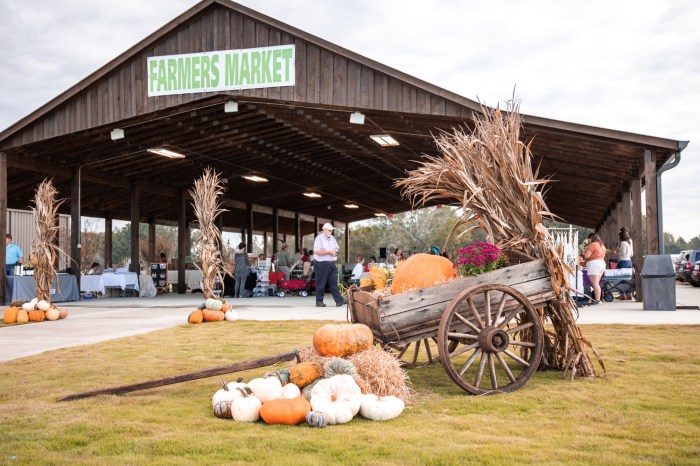 Hiawassee fairgrounds mtn