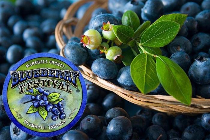 Blueberry Festival Marshall County Indiana