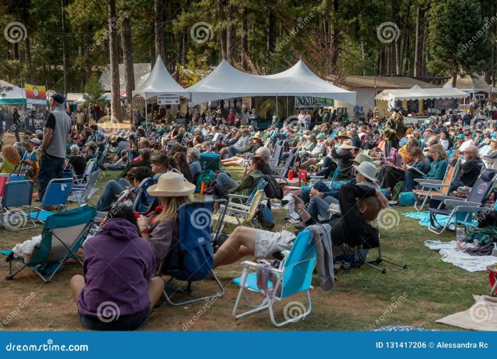 Celtic Festival Grass Valley