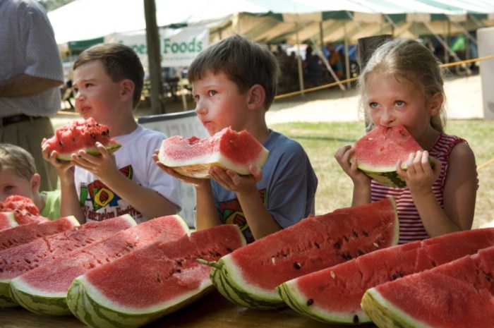 Hope Arkansas Watermelon Festival