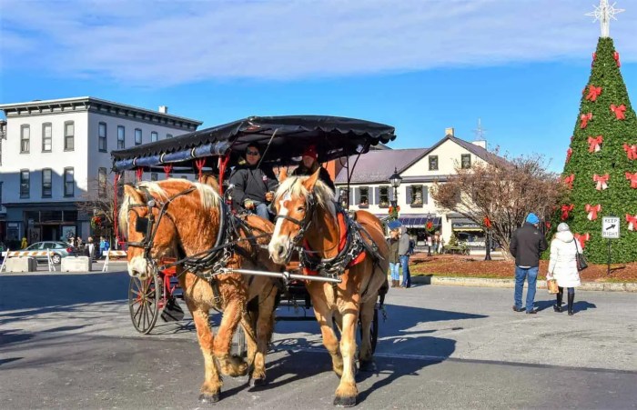 Gettysburg Christmas Festival