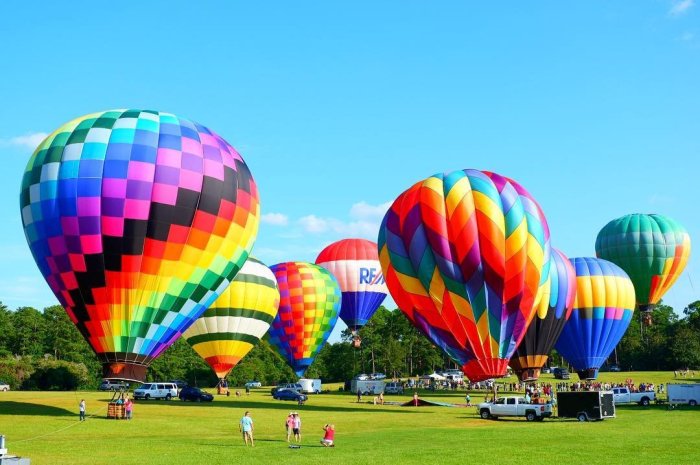 Hot Air Balloon Festival Atlanta Ga