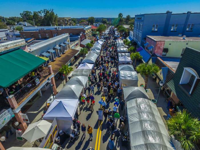 Blueberry Festival Mount Dora