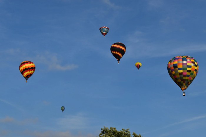 Balloon Festival Howell