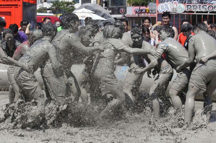 Muddy Festivals