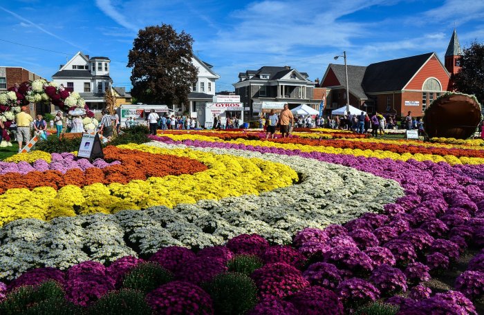 Mum Festival Barberton Ohio