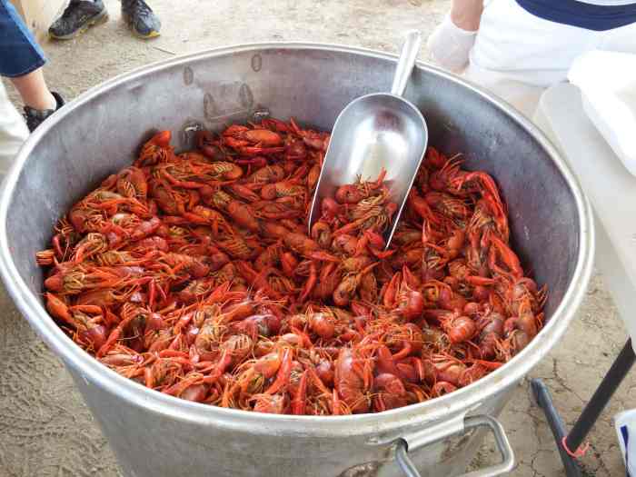 Pensacola Crawfish Festival 2024