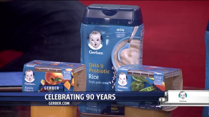 Gerber Baby Food Festival 2024