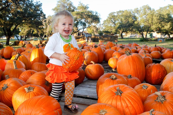 San Antonio Pumpkin Festival At Town Square