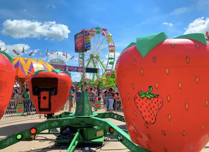 Strawberry Festivals In Texas