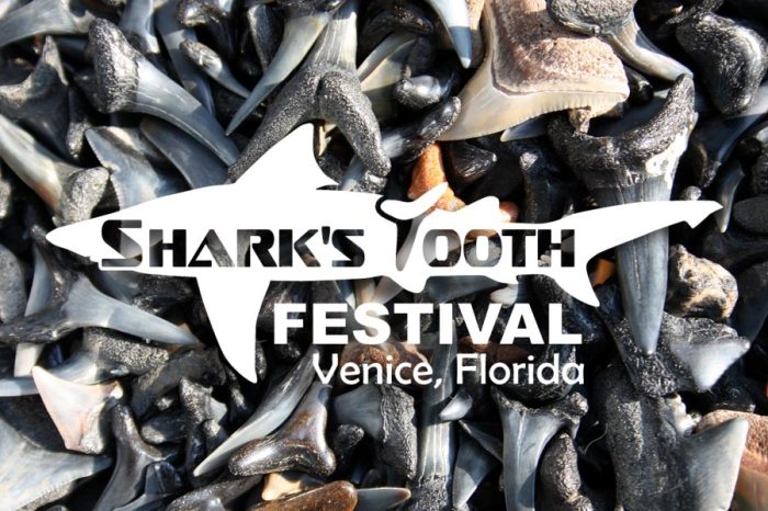 Sharks tooth festival venice florida wayne 00pm welsh 18th sunday march posted