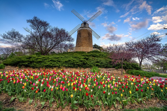 Tulip Festival Wamego Ks