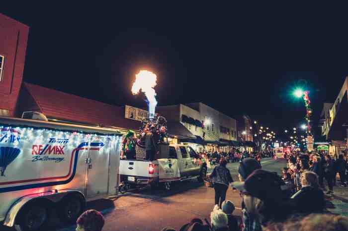 Waynesville Nc Fall Festival