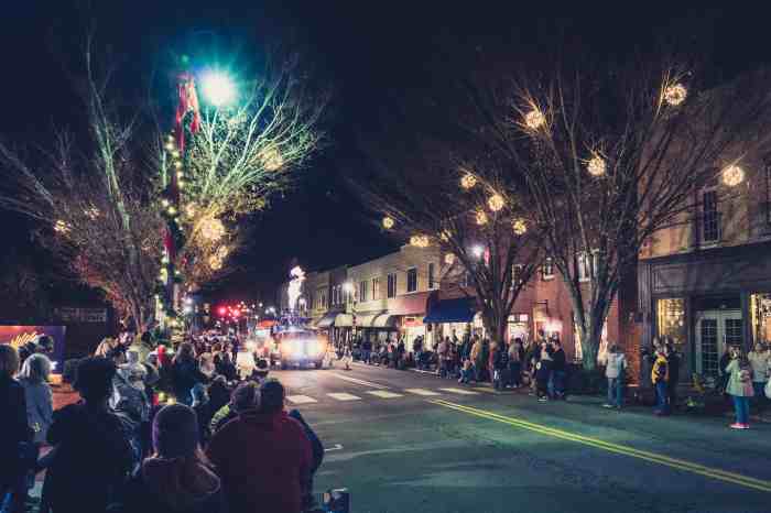 Waynesville Nc Fall Festival