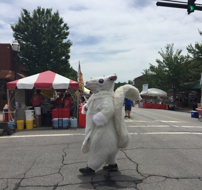 Squirrel brevard carolina festival north white preview