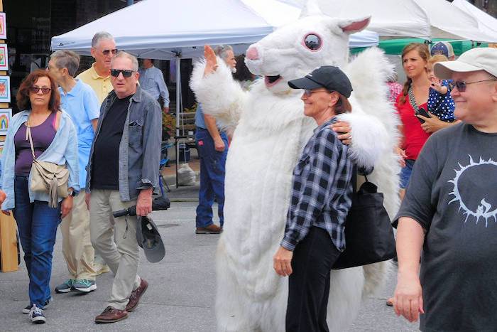 White squirrel festival brevard tradition squirrels